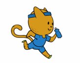 Gato runner