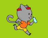 Gato runner