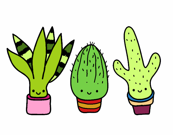 Dibujo De Mini Cactus Pintado Por En Dibujos Net El D A A Las