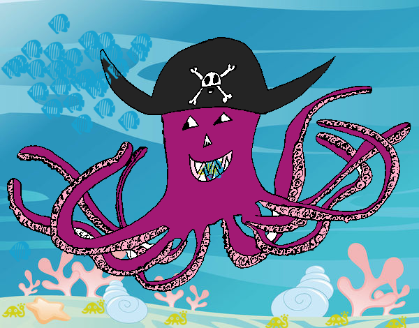 Pulpo pirata