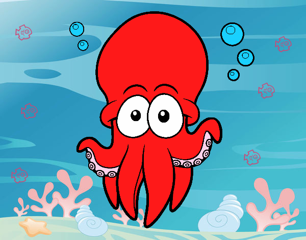 Pulpo rojo