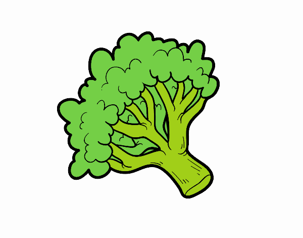 BROCOLI