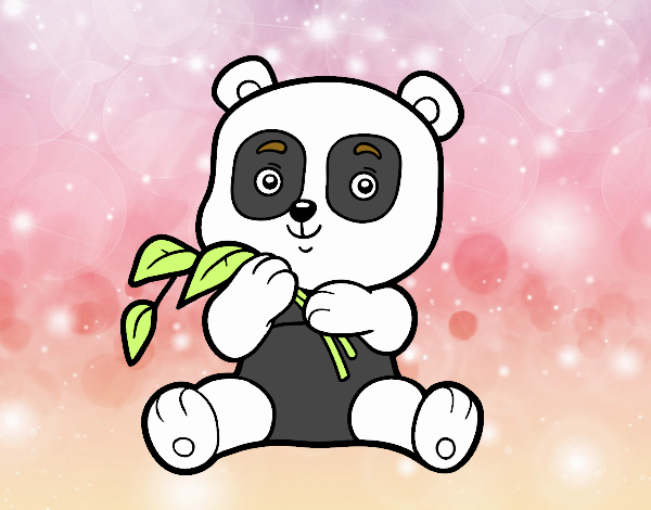 Un oso panda