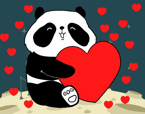 Amor Panda