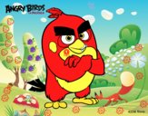 Red de Angry Birds