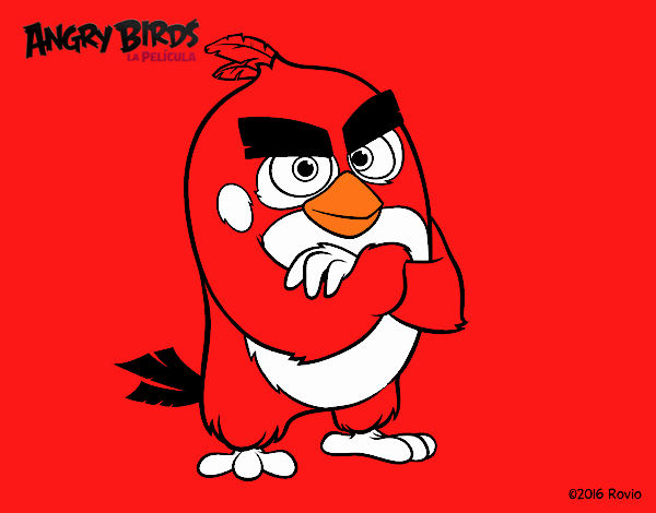 Dibujo Red de Angry Birds pintado por Francesita