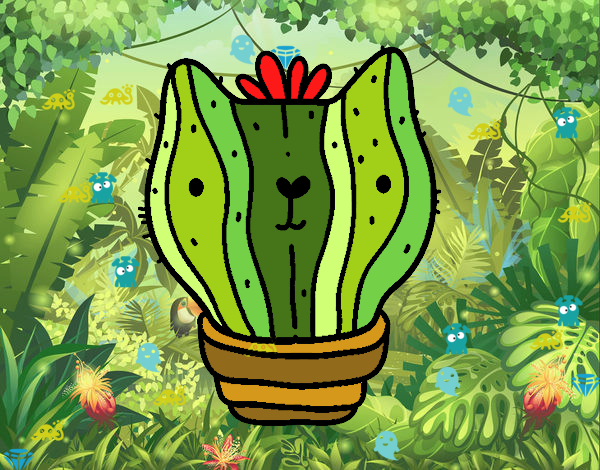 Cactus gato