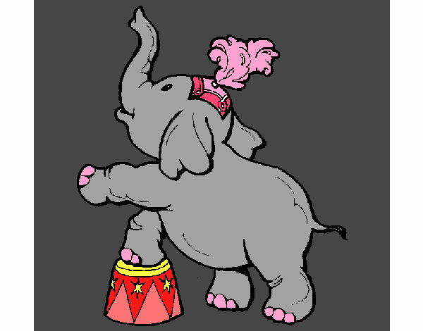 Elefante