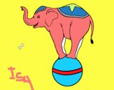 Elefante equilibrista