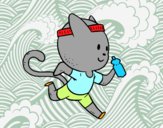 Gato runner