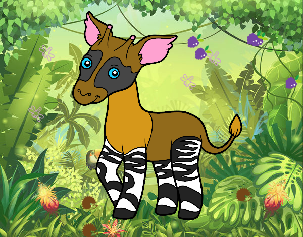 Okapi