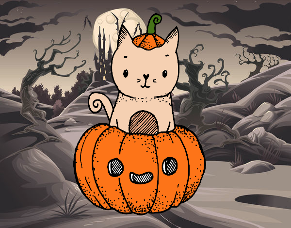 un gatito listo para hallowen