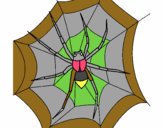 Araña