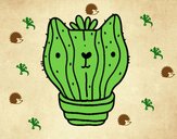 Cactus gato