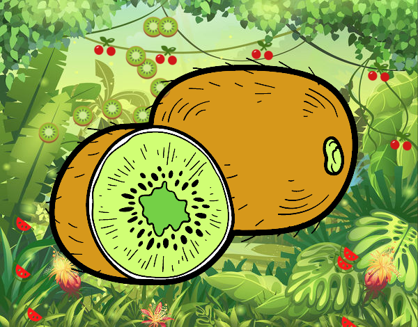 El kiwi