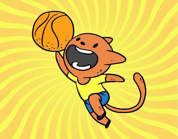 Gato jugando a baloncesto