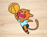 Gato jugando a baloncesto