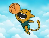 Gato jugando a baloncesto