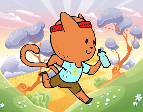 Gato runner