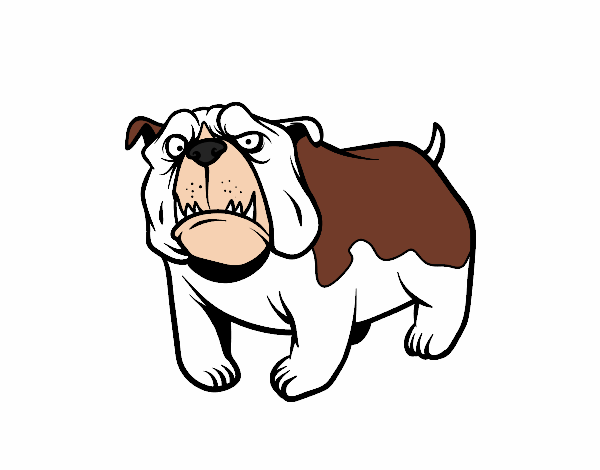 Dibujo de Perro bulldog inglés pintado por en  el día 01-01-18 a  las 20:02:12. Imprime, pinta o colorea tus propios dibujos!