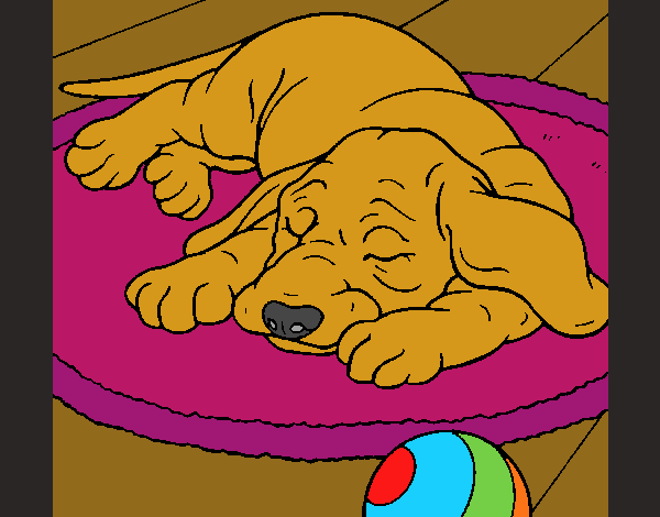 Dibujo Perro durmiendo pintado por 104gh