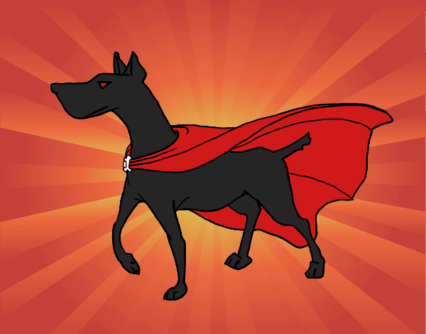 super perro