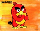 Red de Angry Birds