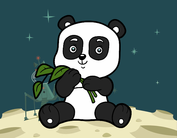 Un oso panda