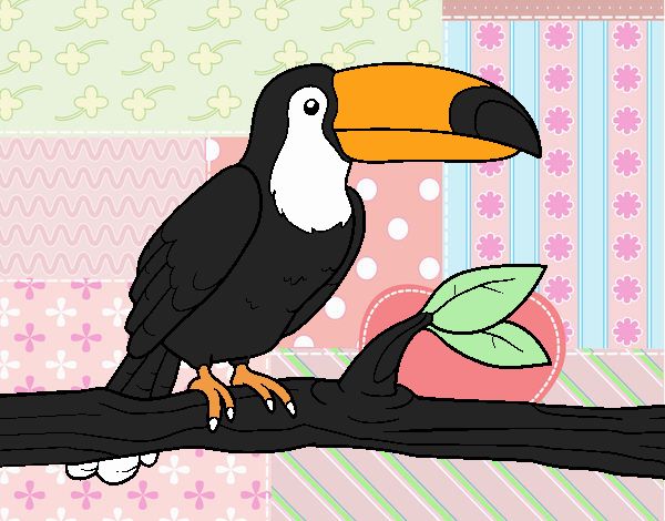 El tucan feliz.