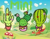 3 mini cactus