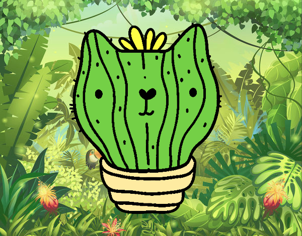 Cactus gato