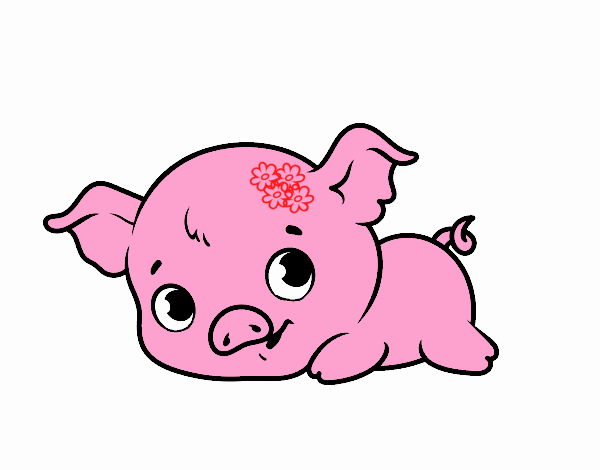 Cerdito bebé