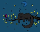 El gato y la luna