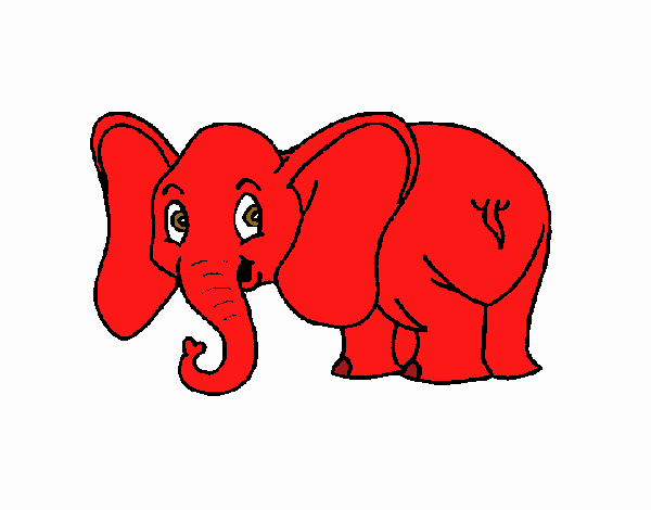 Elefante pequeño