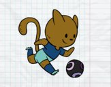 Gato jugando a fútbol