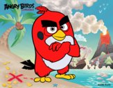 Red de Angry Birds