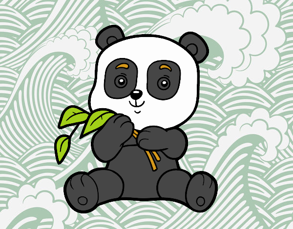 Un oso panda