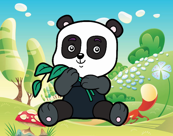 Un oso panda