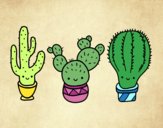 Dibujo 3 mini cactus pintado por Saritita