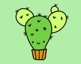 Cactus nopal