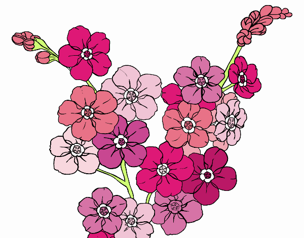 Dibujo de Flor de cerezo pintado por en  el día 17-01-18 a las  16:53:12. Imprime, pinta o colorea tus propios dibujos!