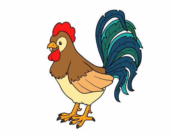 Gallo de una granja