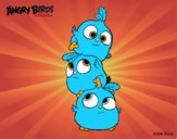 Las crias de Angry Birds