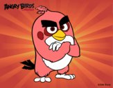 Red de Angry Birds