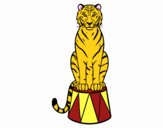 Tigre de circo