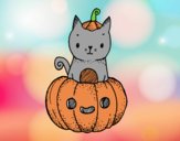 Un gatito de Halloween