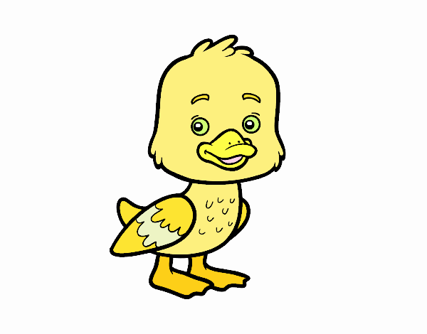 Un patito