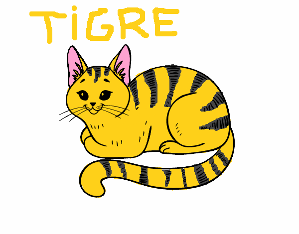 TIGRE