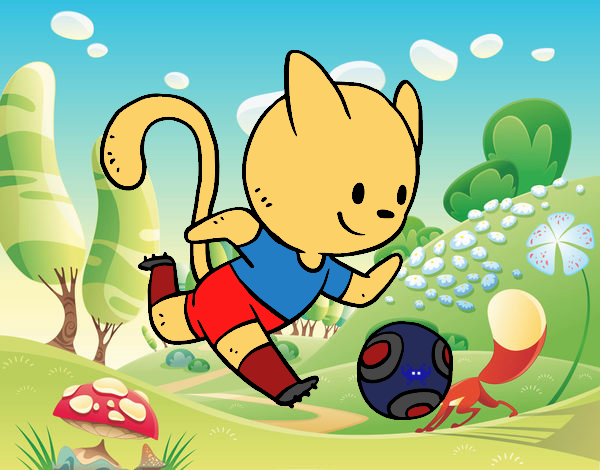gato jugando fútbol