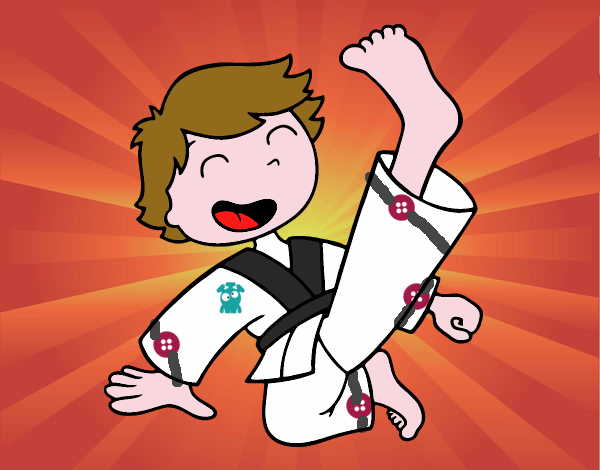 waya karate